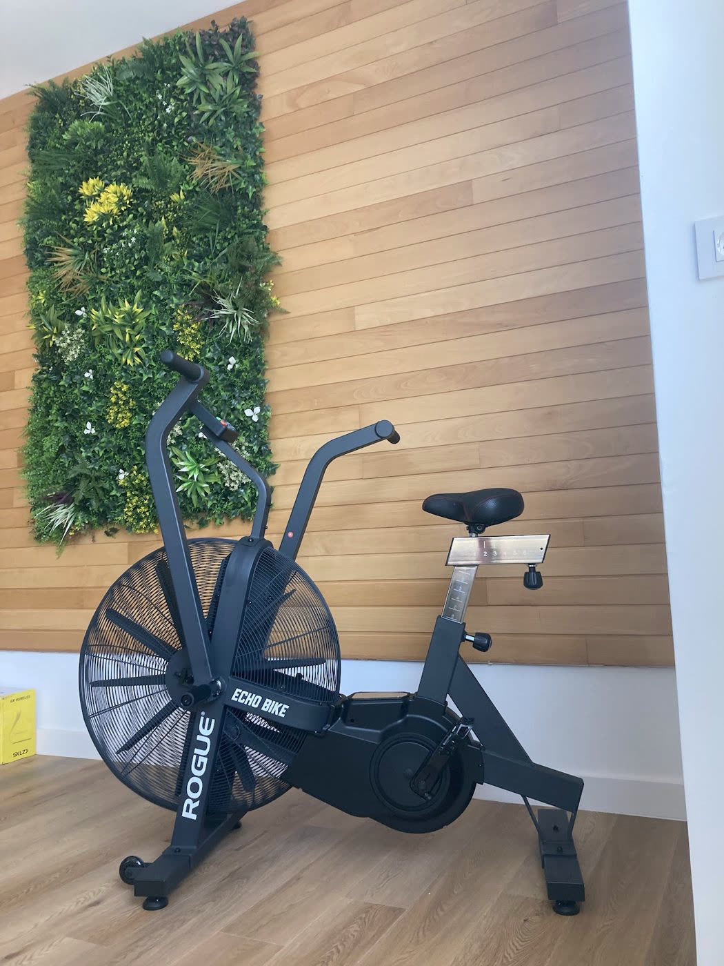 Sala con bicicleta de aire y muro vegetal — Bsalud Oleiros